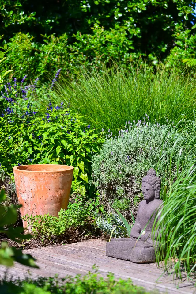 Lavender, a terracotta pot and a stone statue beside a timber deck in a well kept garden